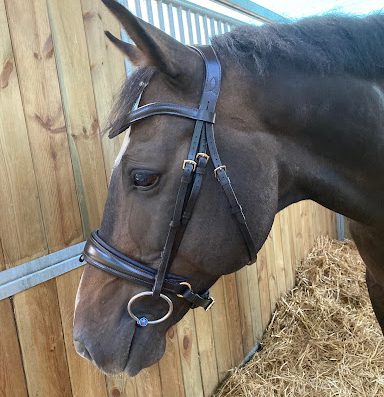 Saddle & Bridle Fitting Bretagne
